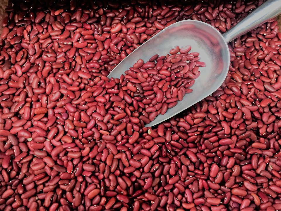 červené fazole